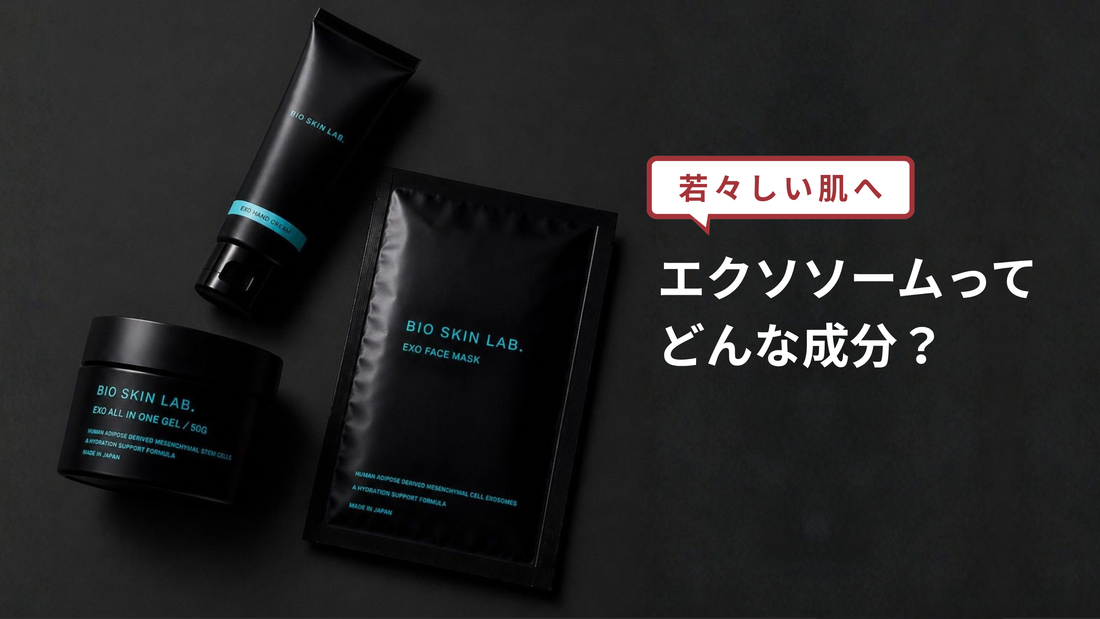 エクソソームとは？年齢肌のうるおいとハリを支える注目の美容成分