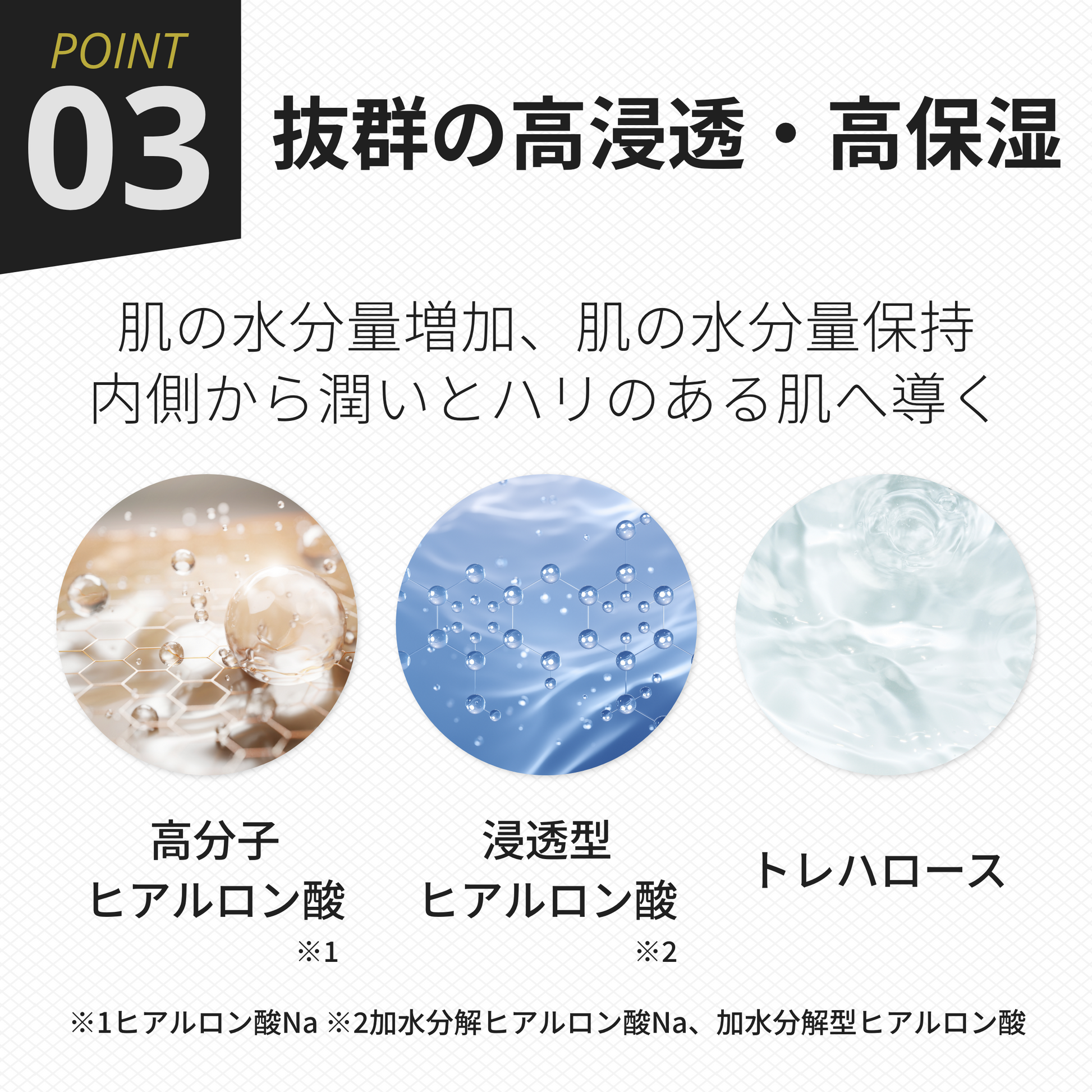BIO オールインワンジェルEXO – BIO SKIN LAB BIO オールインワンジェルEXO – BIO SKIN LAB