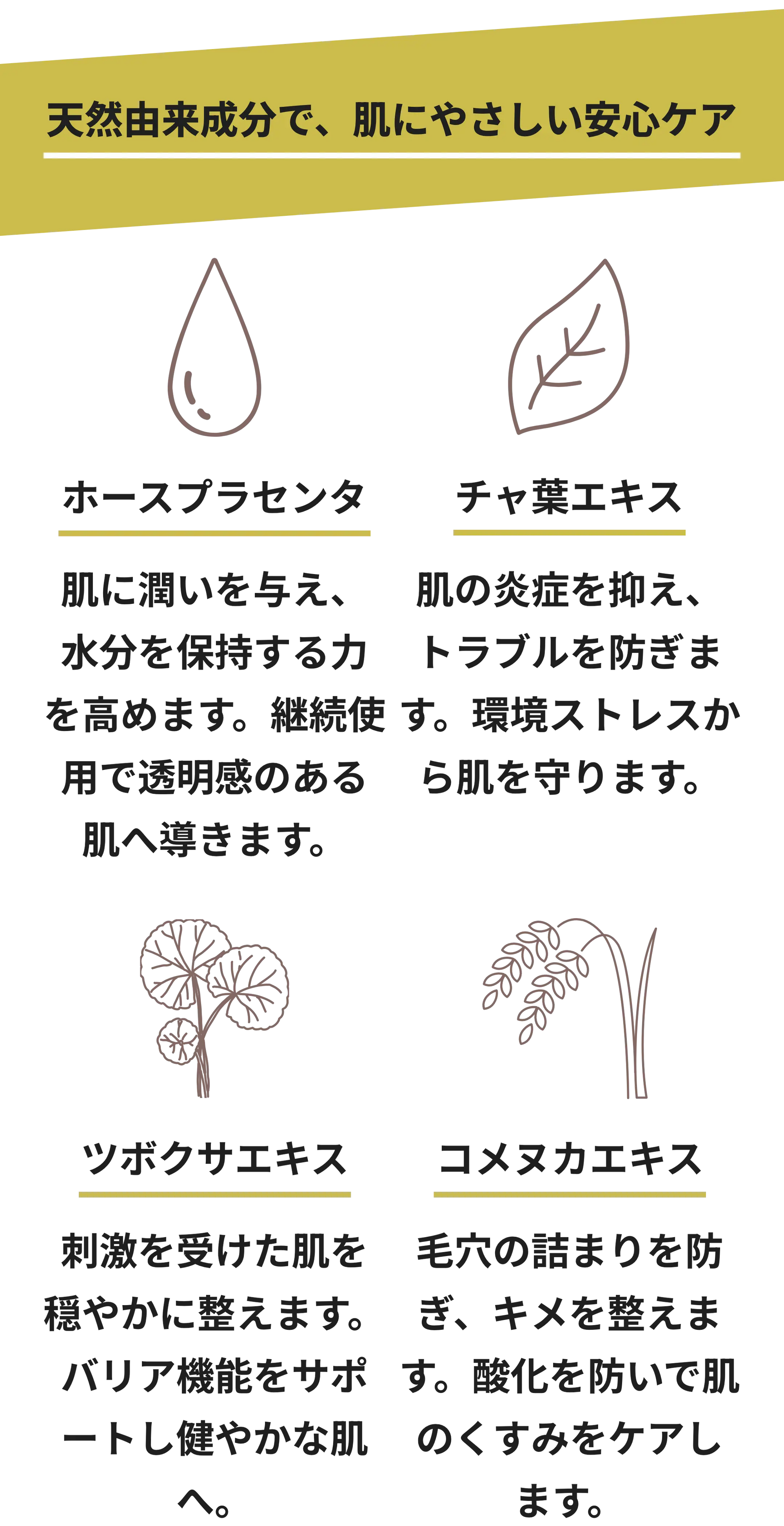 洗顔LP – BIO SKIN LAB